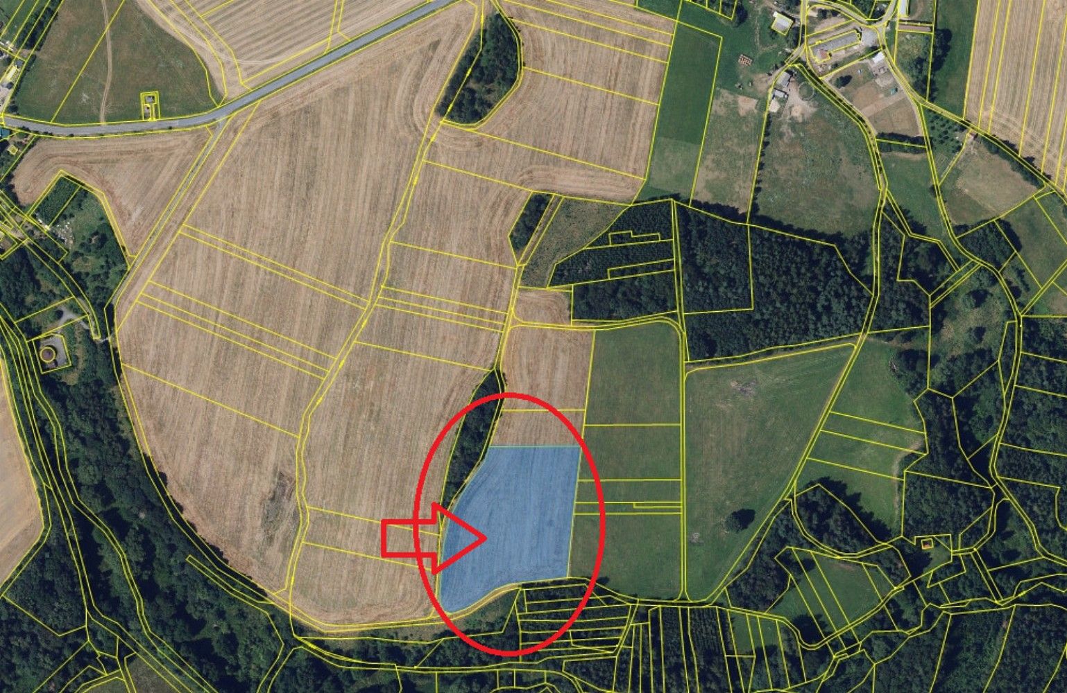 Zemědělský pozemek · Lipová - Benešov nad Ploučnicí, okres Prostějov, Olomoucký kraj - 3