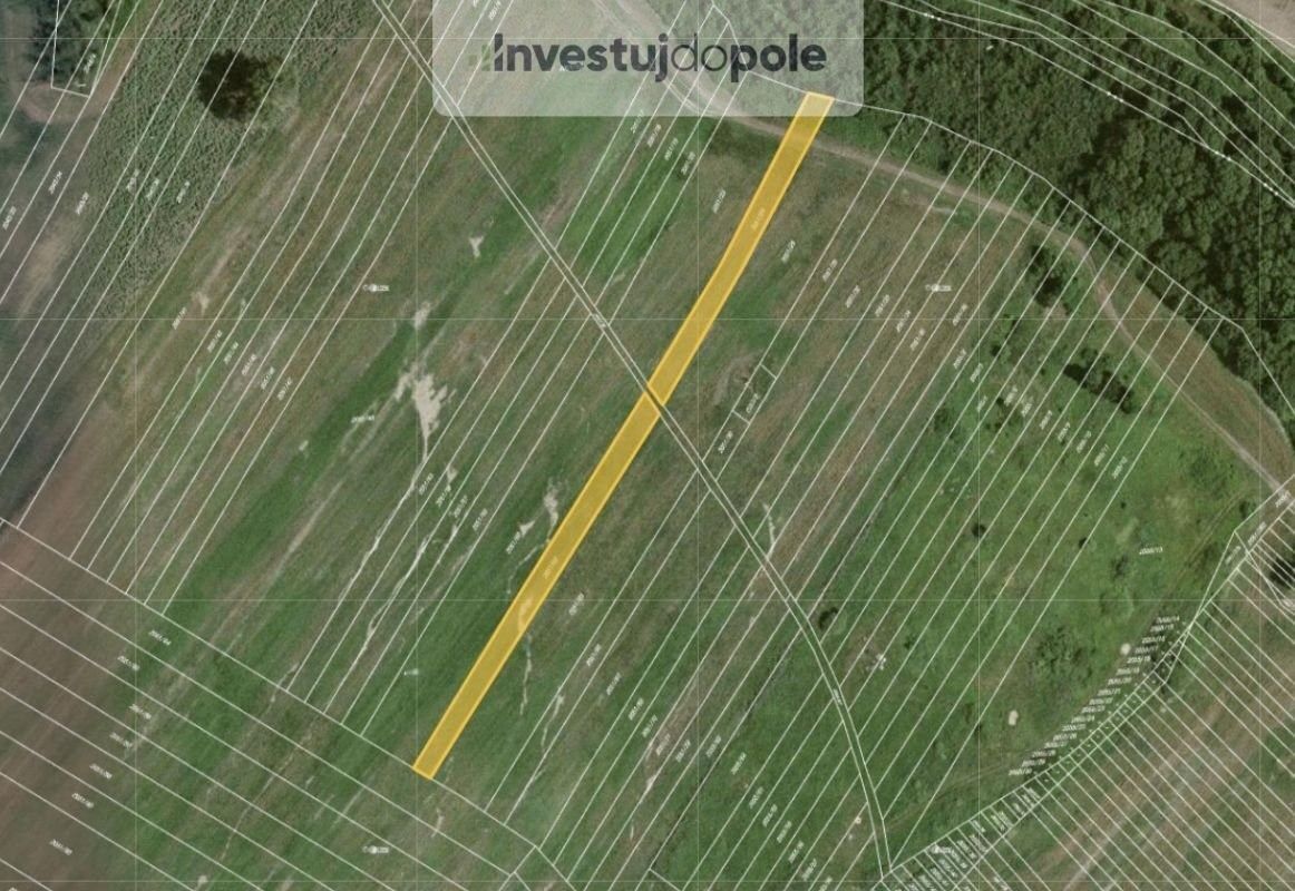 Prodej zemědělský pozemek - Mikulčice, 696 19, 1 713 m²