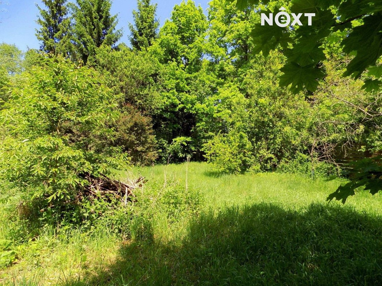 Prodej zahrada - Stružnice, okres Česká Lípa, Liberecký kraj - 2