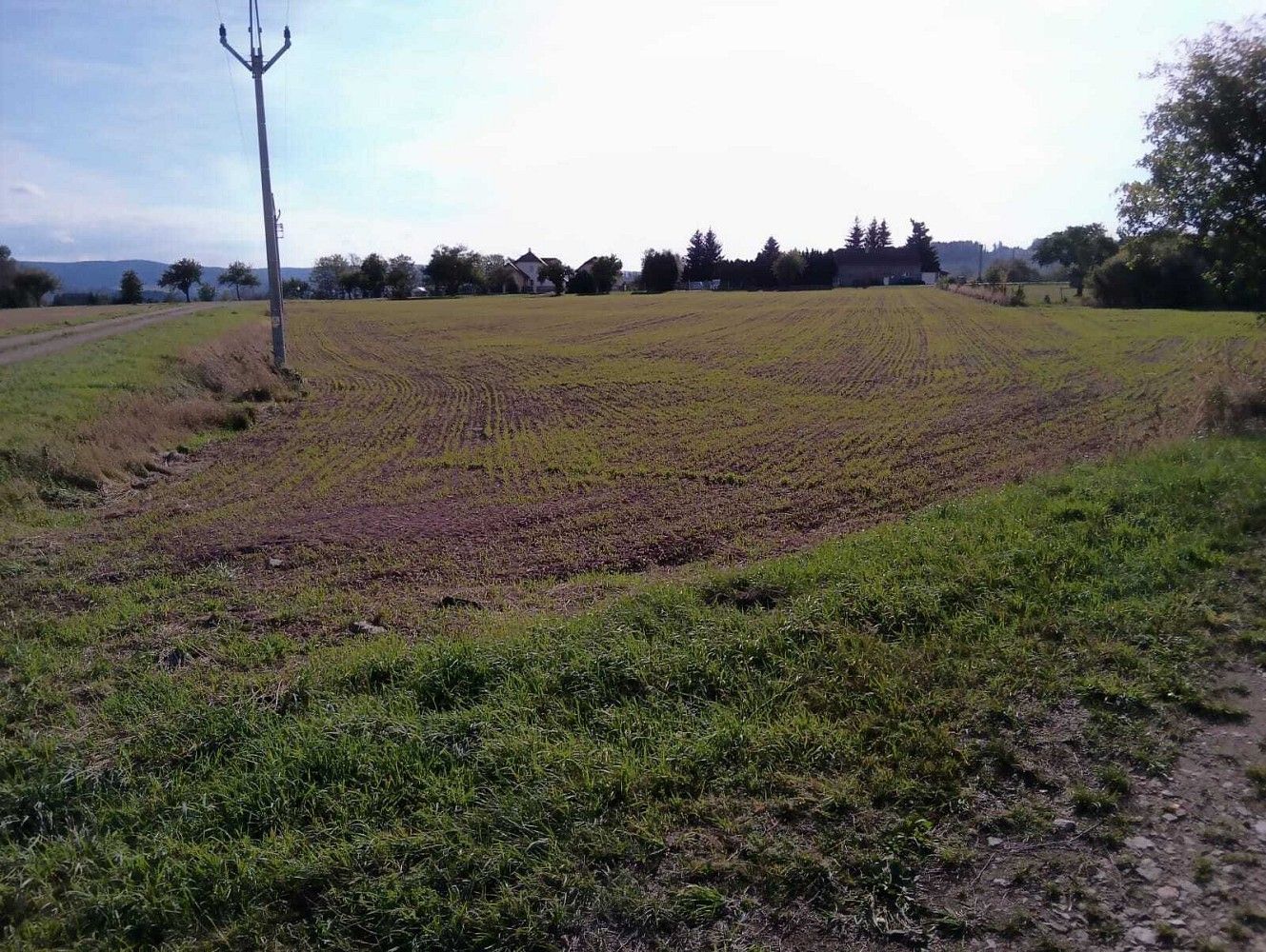 Zemědělské pozemky, Vrbice - 1