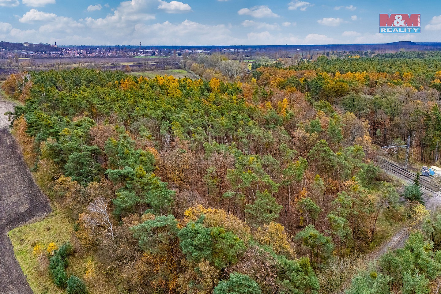 Prodej les - Lysá nad Labem, okres Nymburk - 5