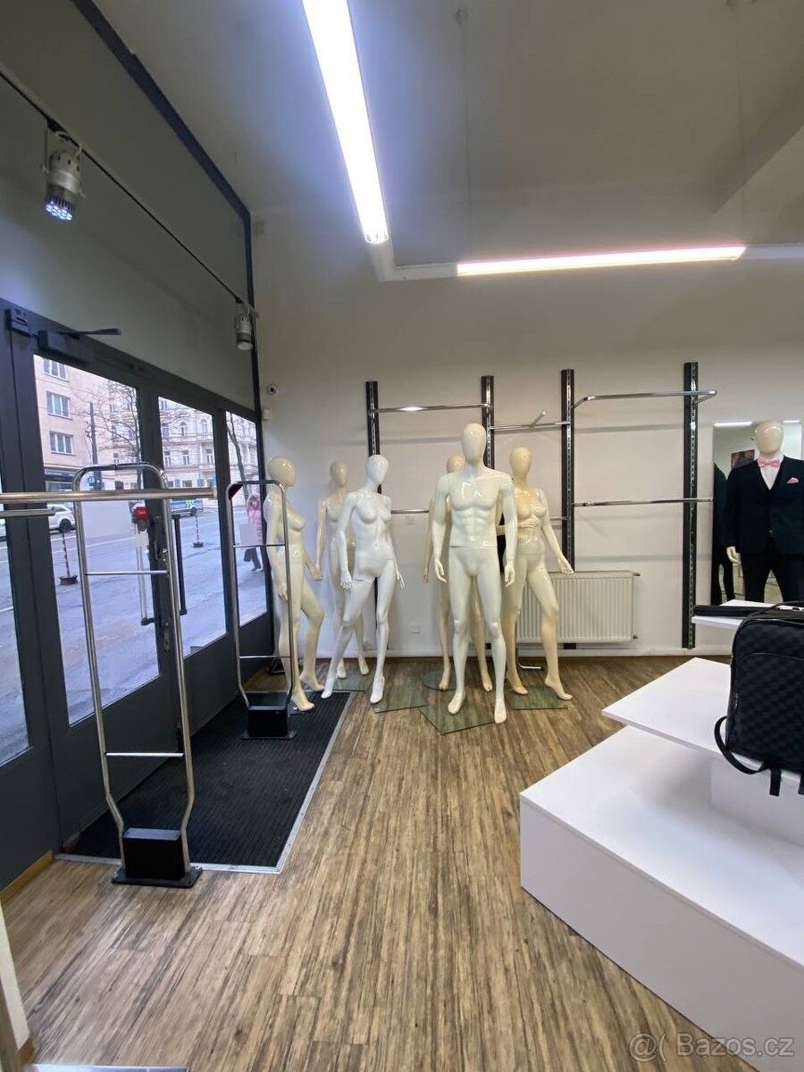 Obchodní prostory, Praha, 120 00