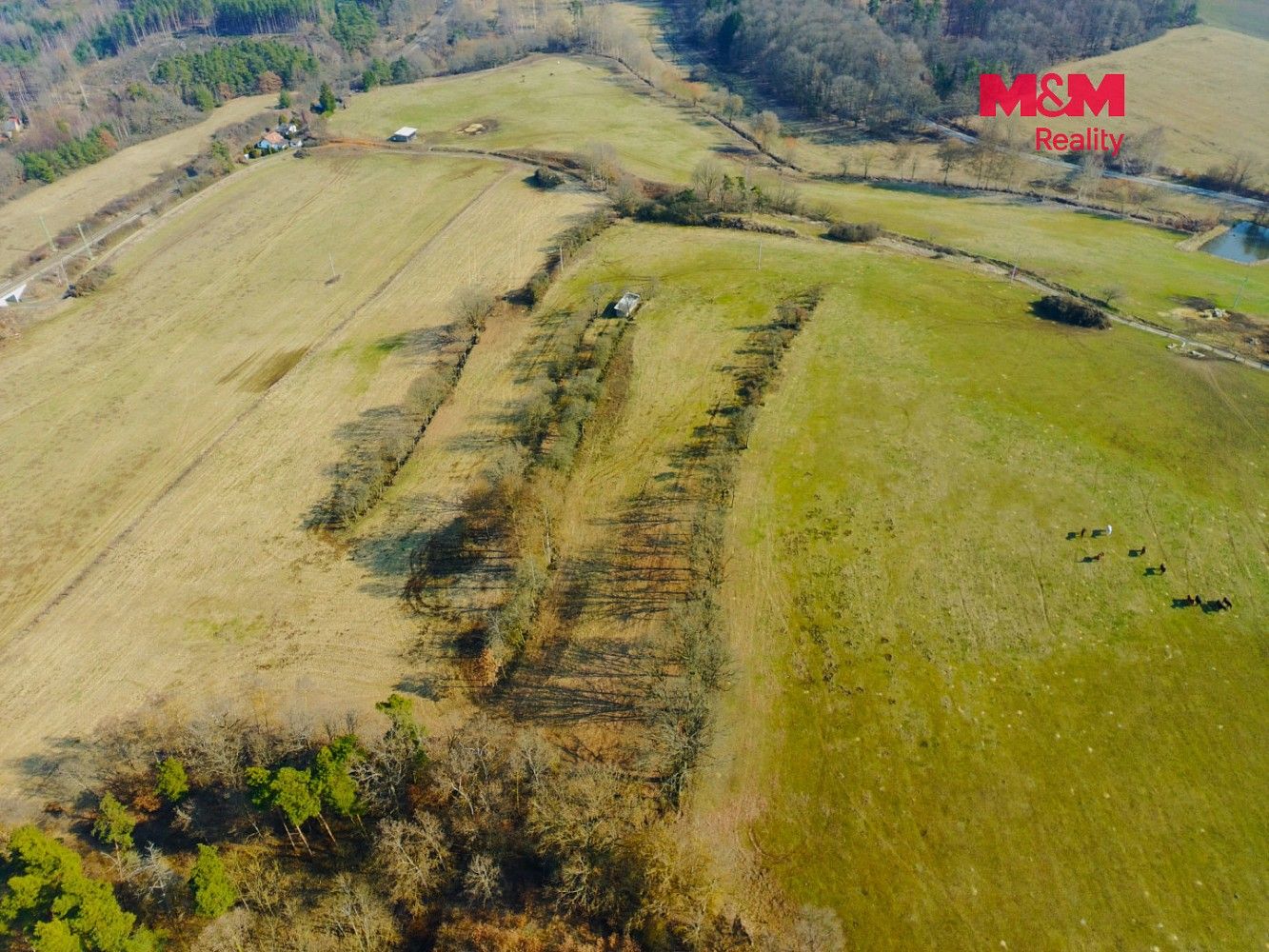 Zahrada · Kladruby - Vrbice u Stříbra, okres Tachov, Plzeňský kraj - 4