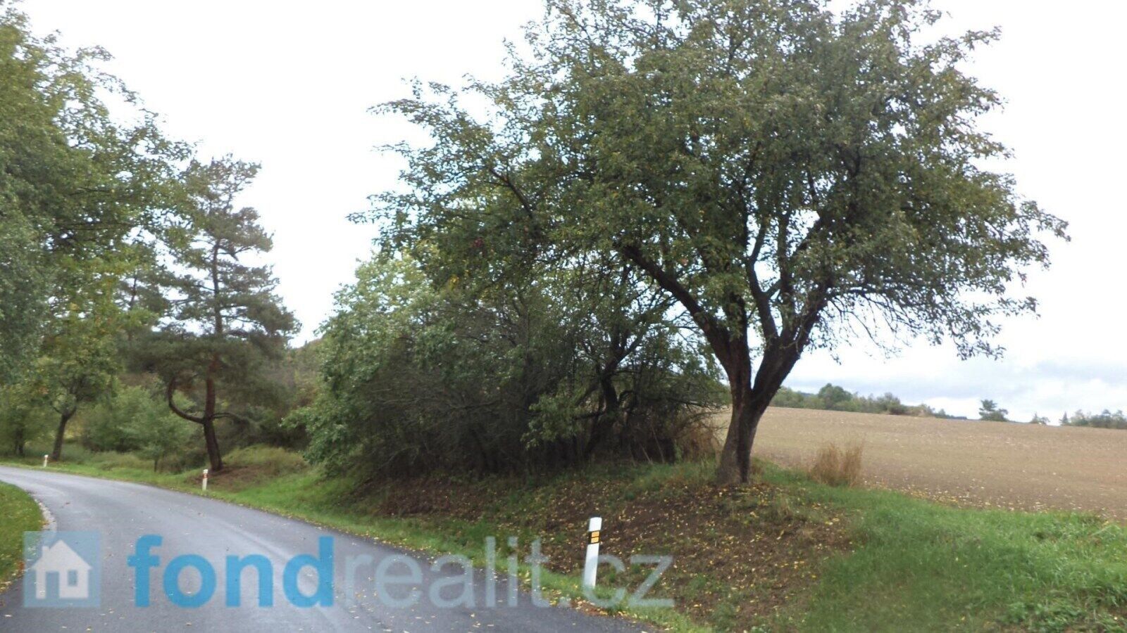 Pozemek · 3 639 m² · Písečné - 4