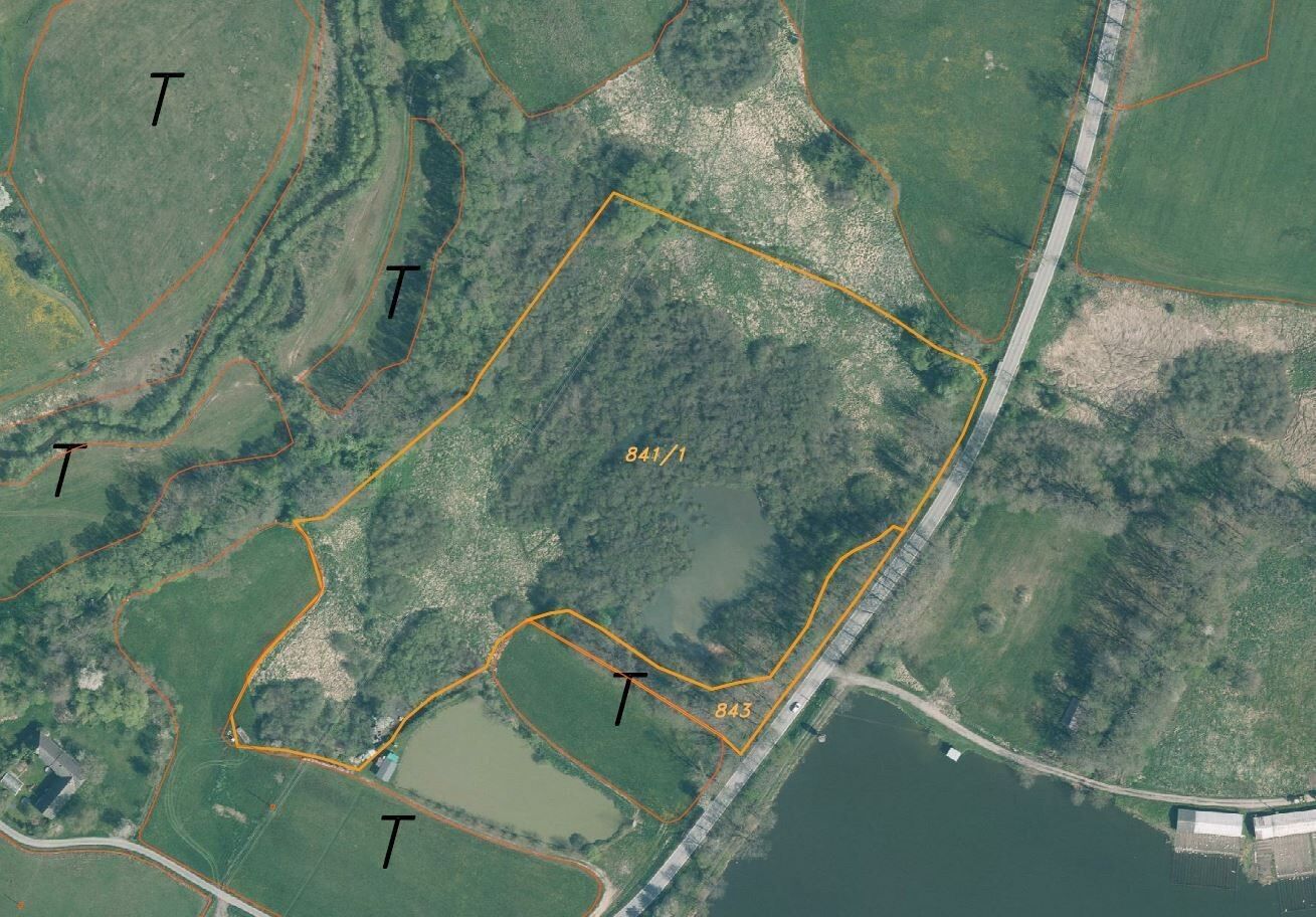 Pozemek · 35 772 m² · Nové Hrady Štiptoň - 4