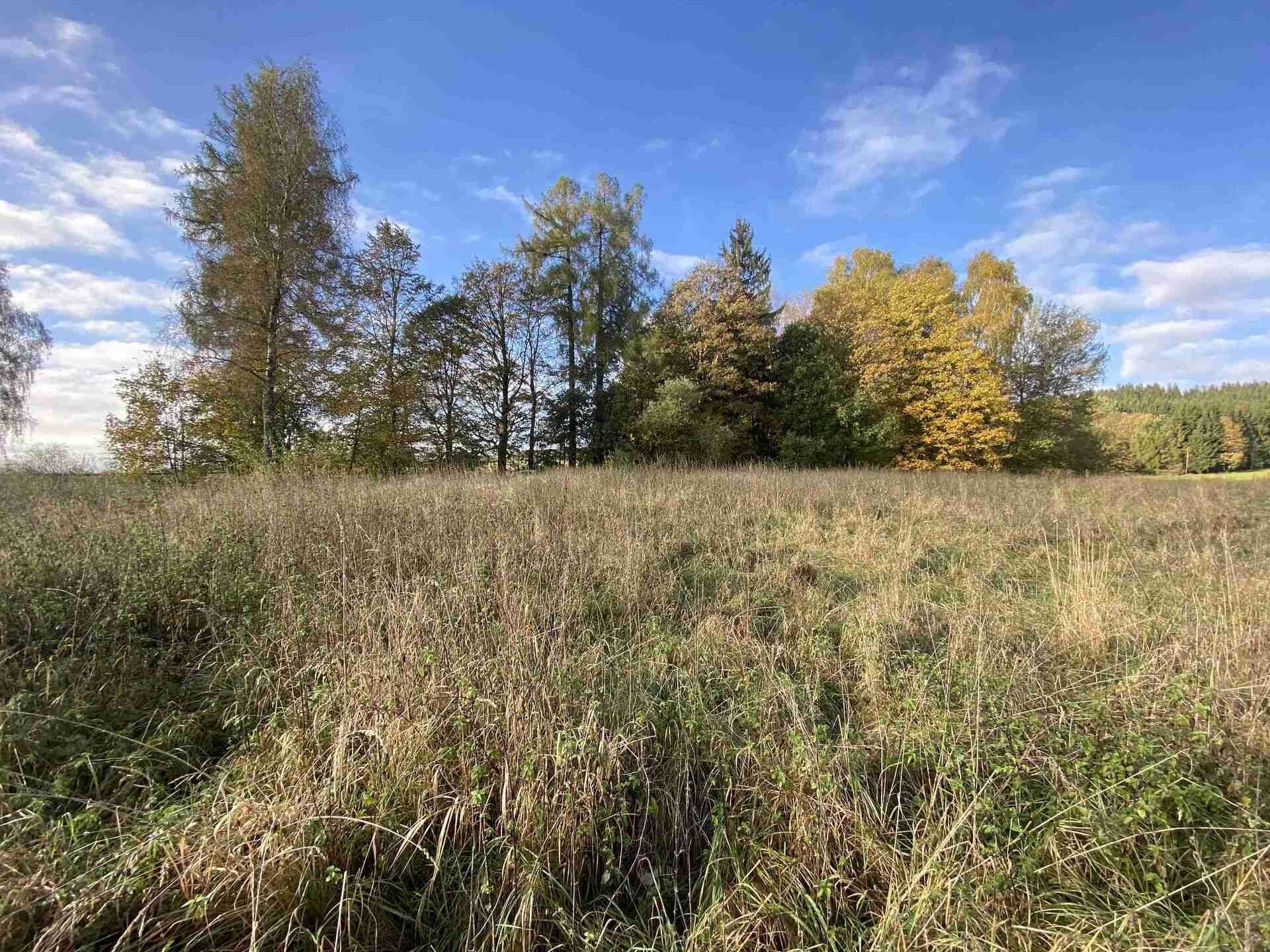 Pozemky pro bydlení, Králíky Horní Lipka, 3 207 m²