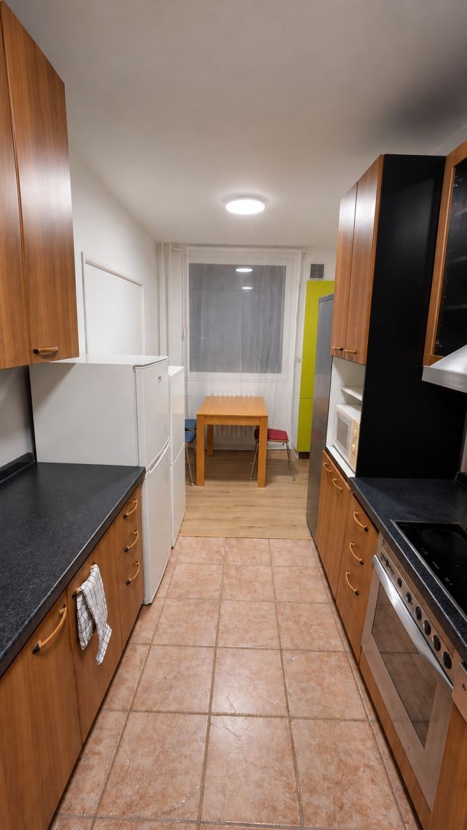 Pronájem byt - Štichova, Praha, 25 m² - 5