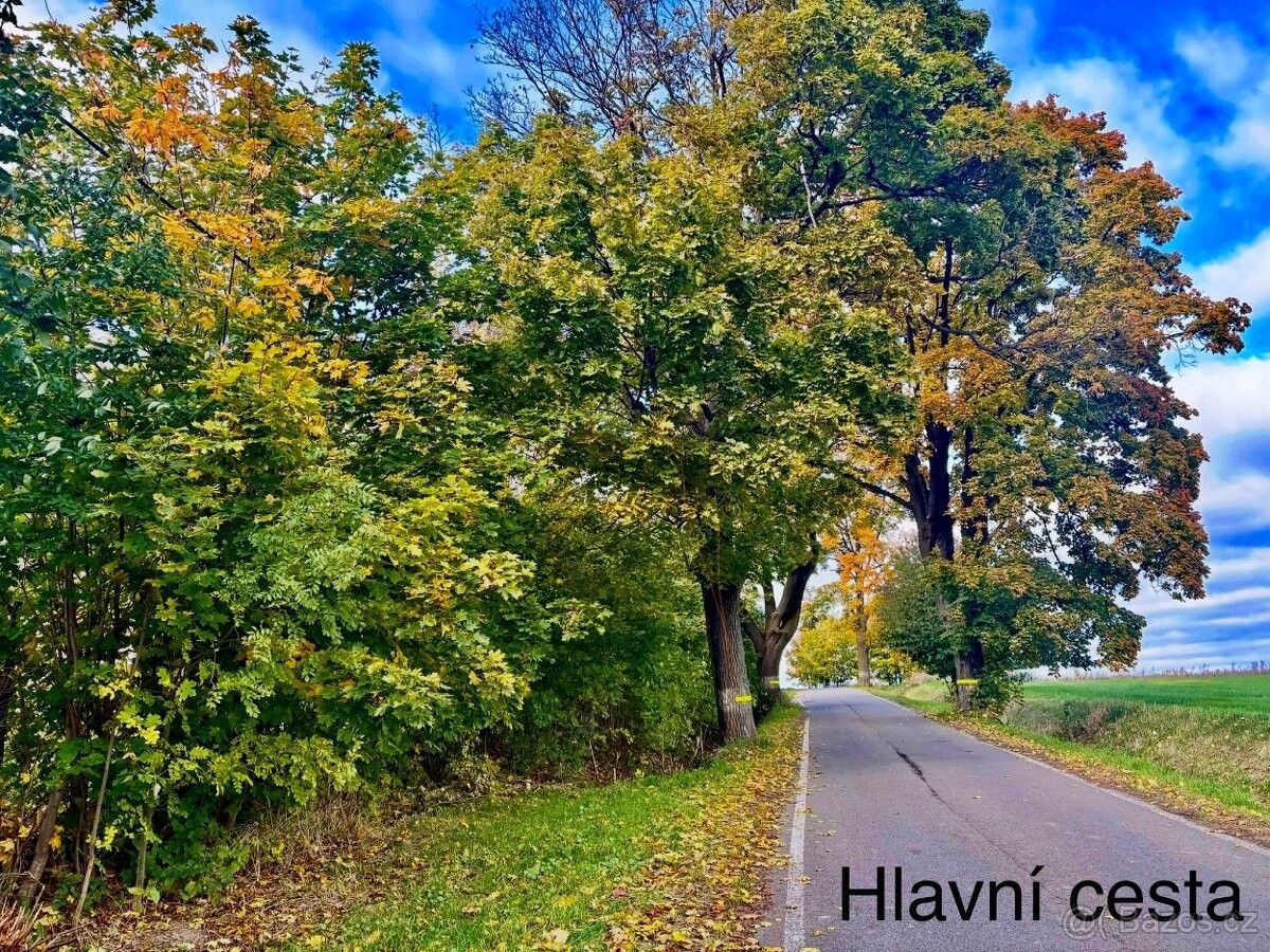 Pozemky pro bydlení, Velké Heraltice, 747 75