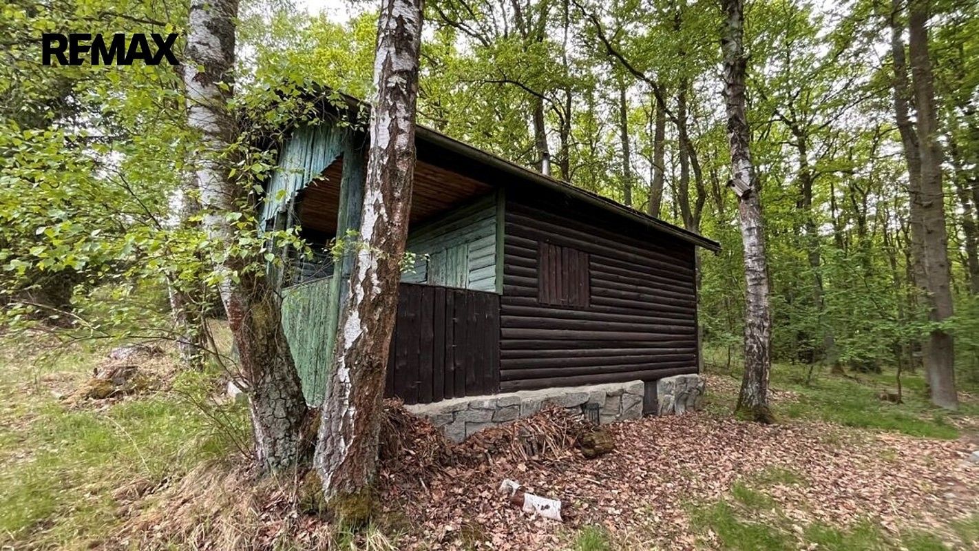 Prodej chalupa - Nebílovy, okres Plzeň-jih, Plzeňský kraj, 36 m² - 2