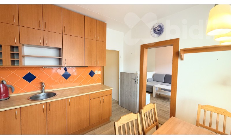 Byt 1+1 · 40 m² · Na Lužci 510, Lázně Bohdaneč - 3