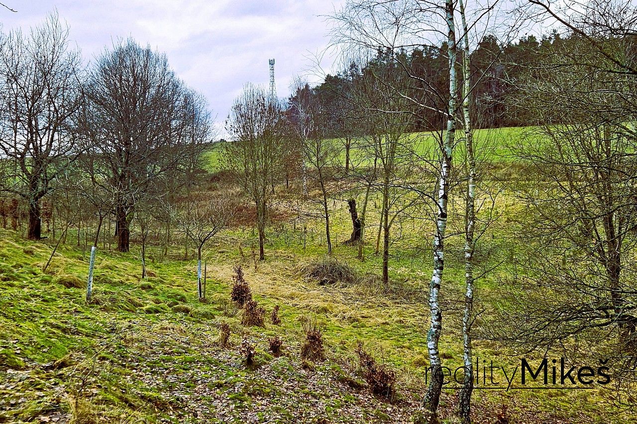 Louka · Sychrov - Radostín, okres Liberec, Liberecký kraj - 3