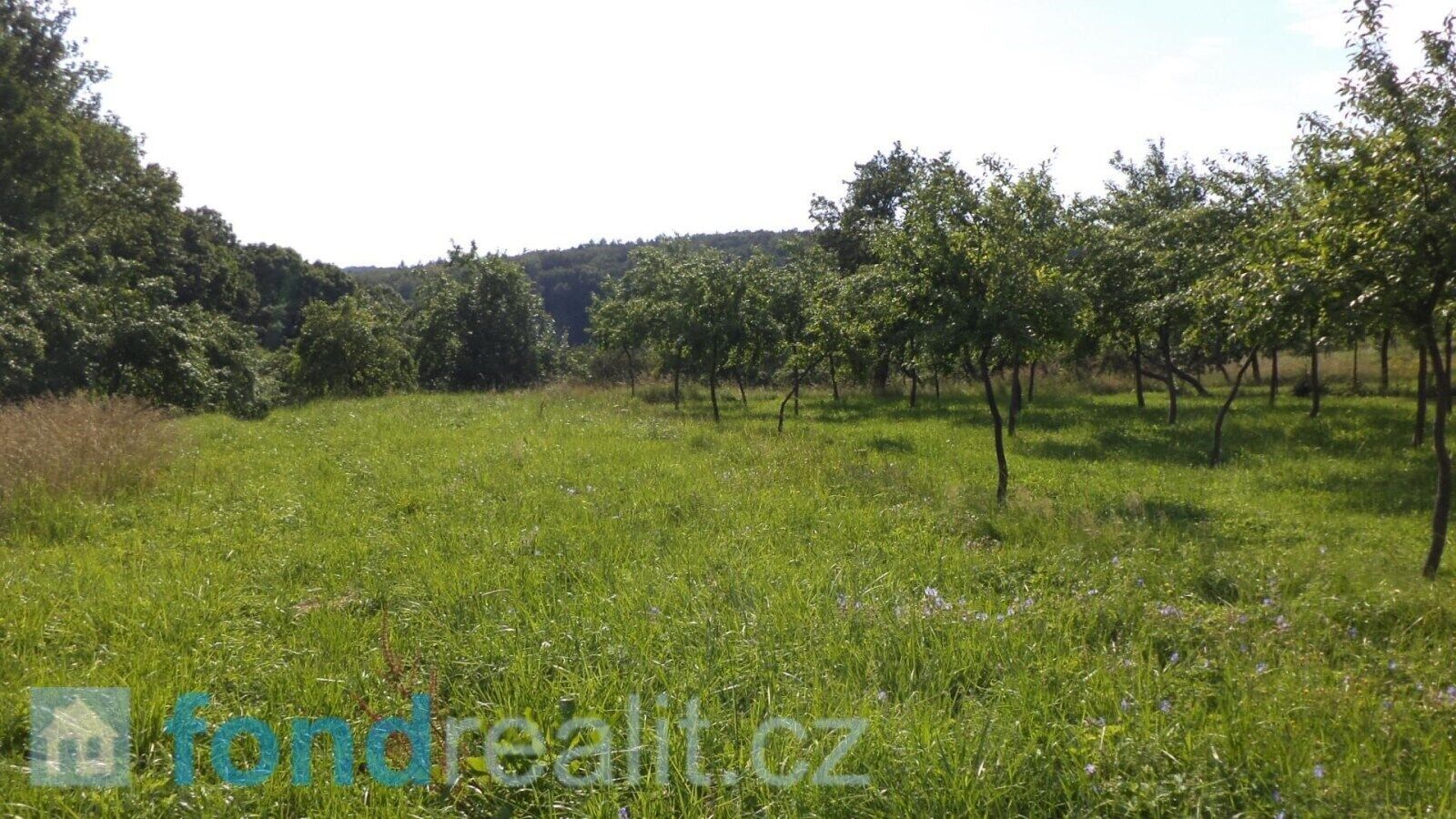 Prodej pozemek - Petrůvka, 1 m²