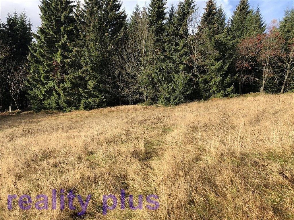 Louky, Bedřichov, okres Jablonec nad Nisou, Liberecký kraj - 2