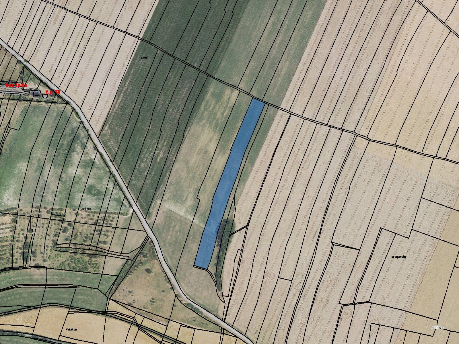 Zemědělský pozemek · 12 454 m² · Svrkyně - 2