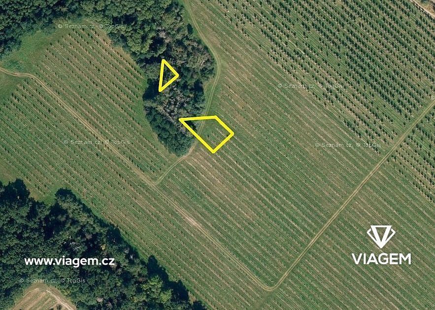 Prodej les - Semtěš, okres Kutná Hora, Středočeský kraj - 1