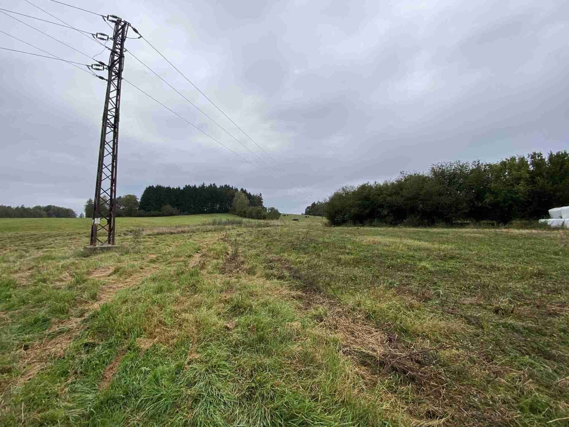 Prodej pozemek - Senotín, Nová Bystřice, 11 m²