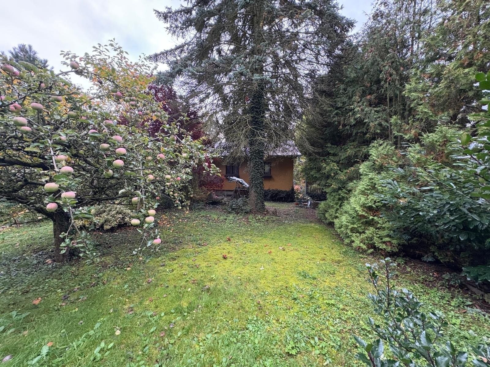 Pozemky pro bydlení, Olešky, Radějovice, 805 m²