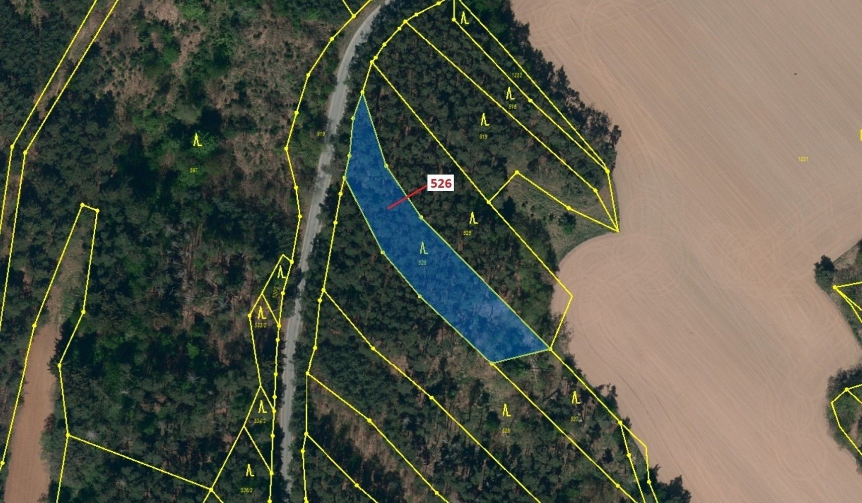 Prodej les - Náměšť nad Oslavou, okres Třebíč, Kraj Vysočina - 2