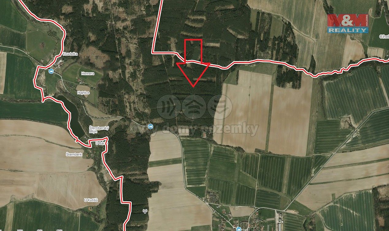 Lesy, Bechyně - Hvožďany, okres Tábor, Jihočeský kraj - 2