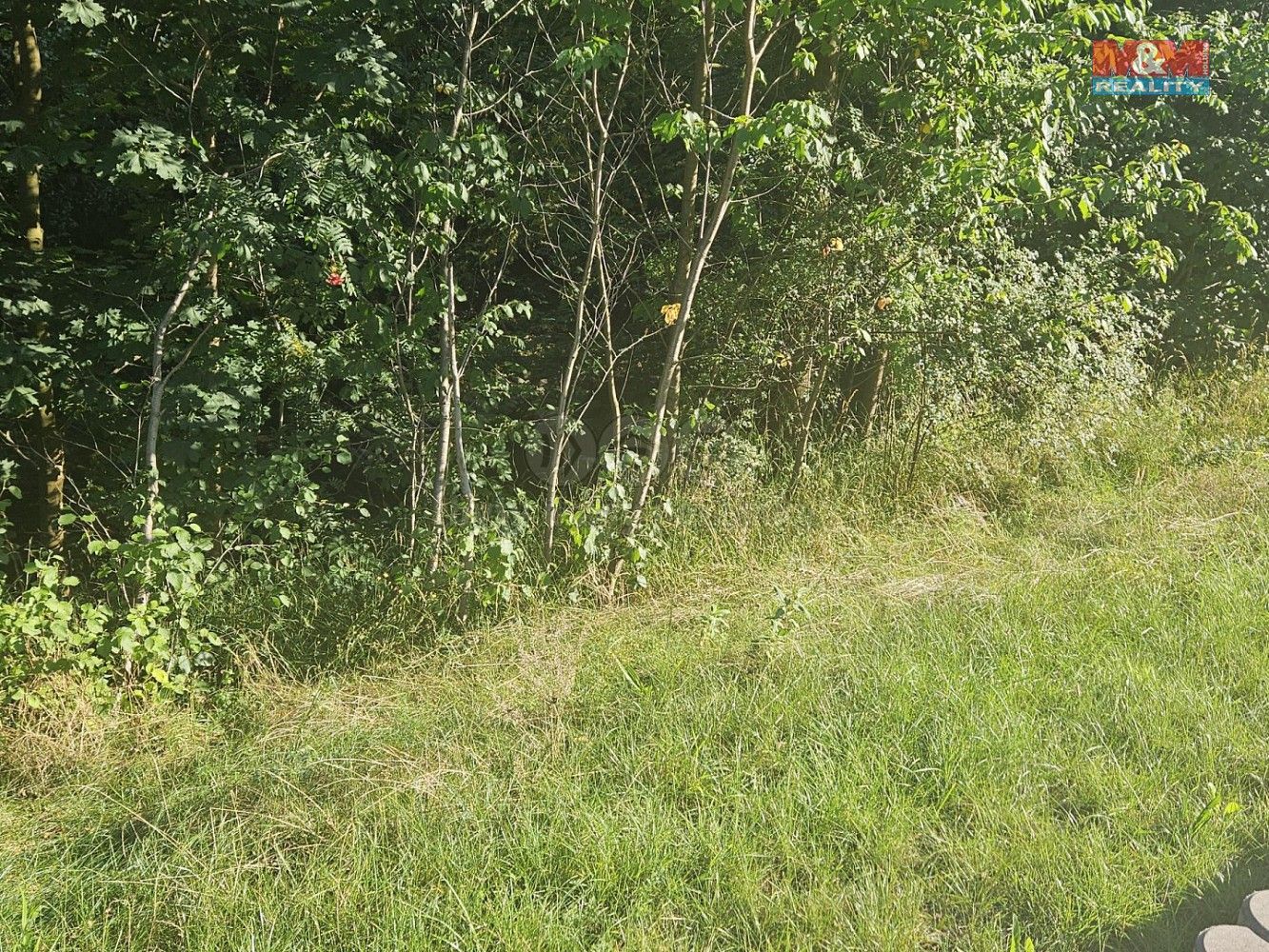 Zemědělský pozemek · Bystřice, okres Frýdek-Místek, Moravskoslezský kraj - 3