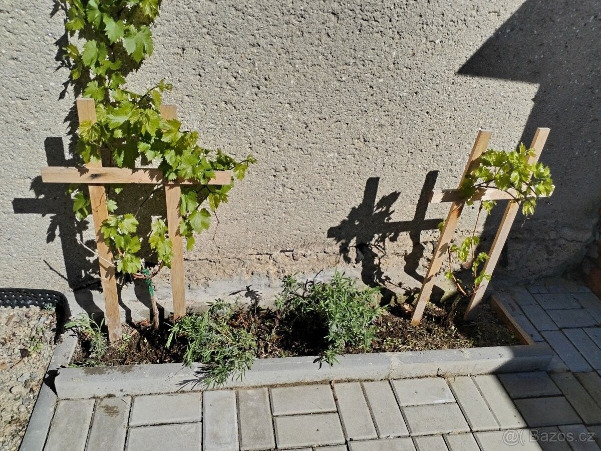 Prodej chata - Hustopeče u Brna, 693 01