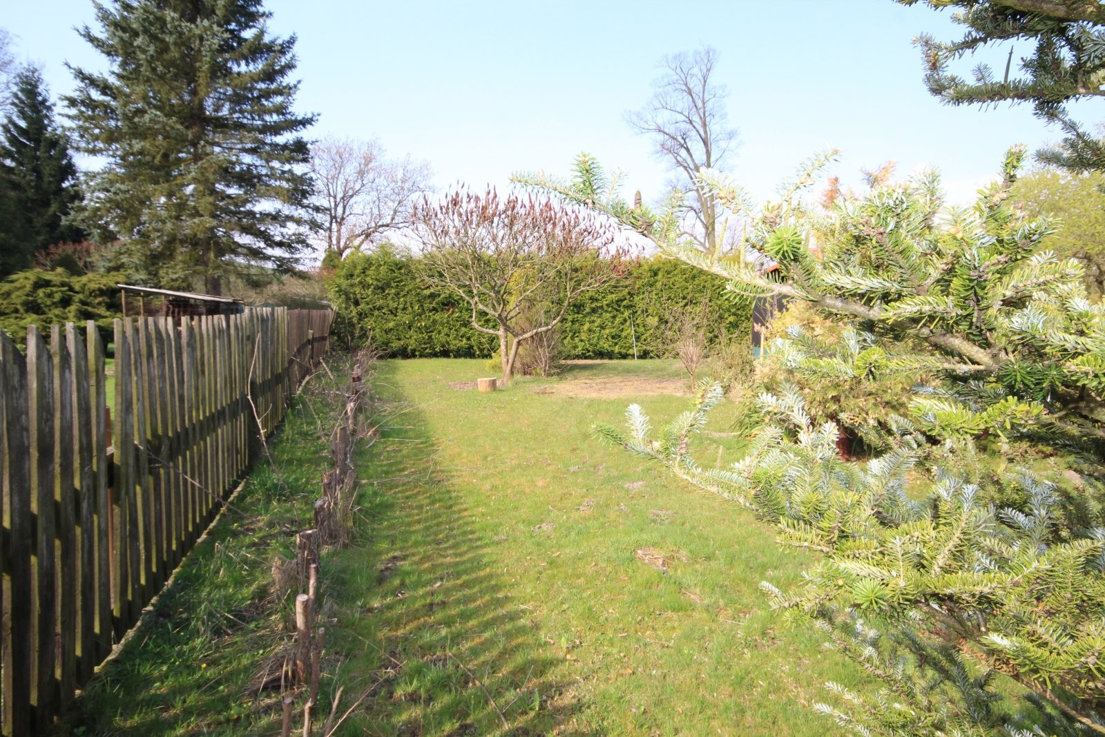Prodej pozemek pro bydlení - Veselé, 1 561 m² - 5