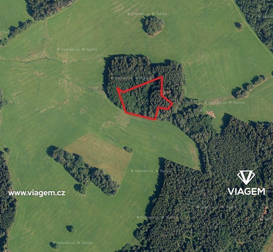 Lesy, Vítanov, okres Chrudim, Pardubický kraj - 1