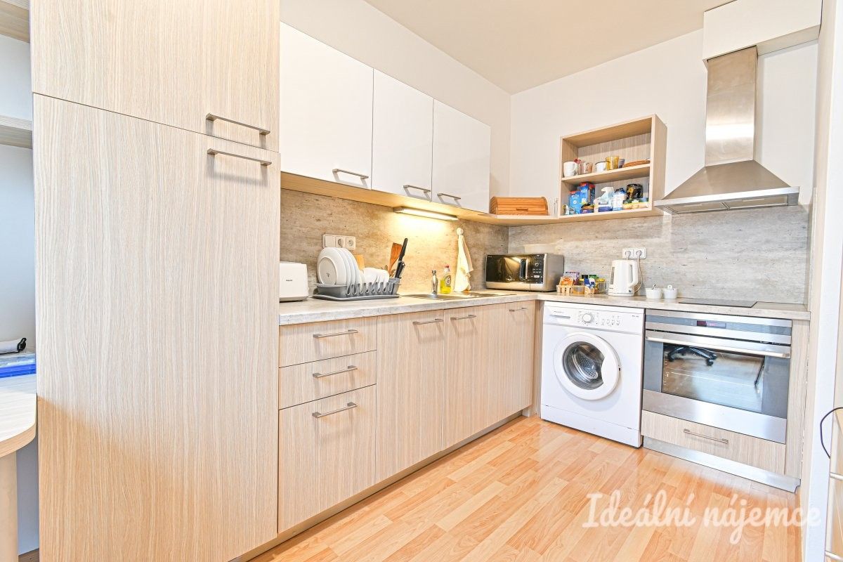 1+kk, Nad dědinou, Brno, 30 m²