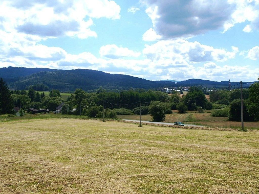 Zemědělský pozemek · Nýrsko, okres Klatovy, Plzeňský kraj - 3