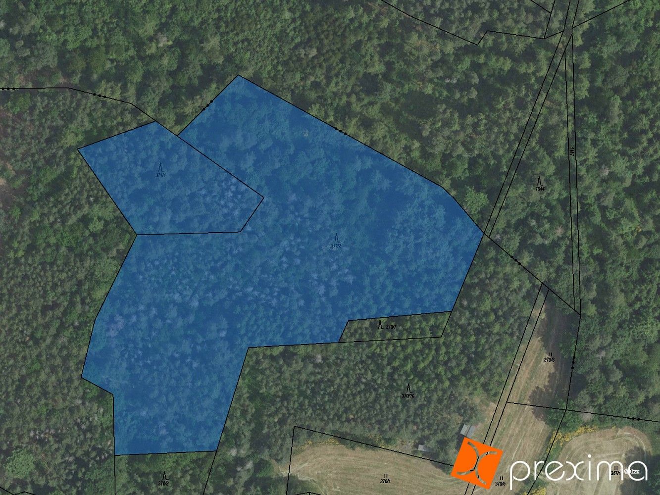 Les · Bohostice, okres Příbram, Středočeský kraj - 1