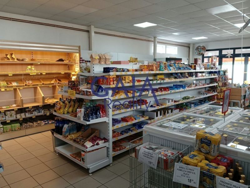 Obchodní prostory, Riegrova, Velim, 218 m² - 2