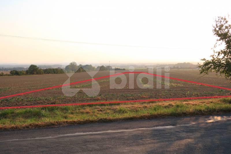 Zemědělský pozemek · Bělkovice-Lašťany - 3