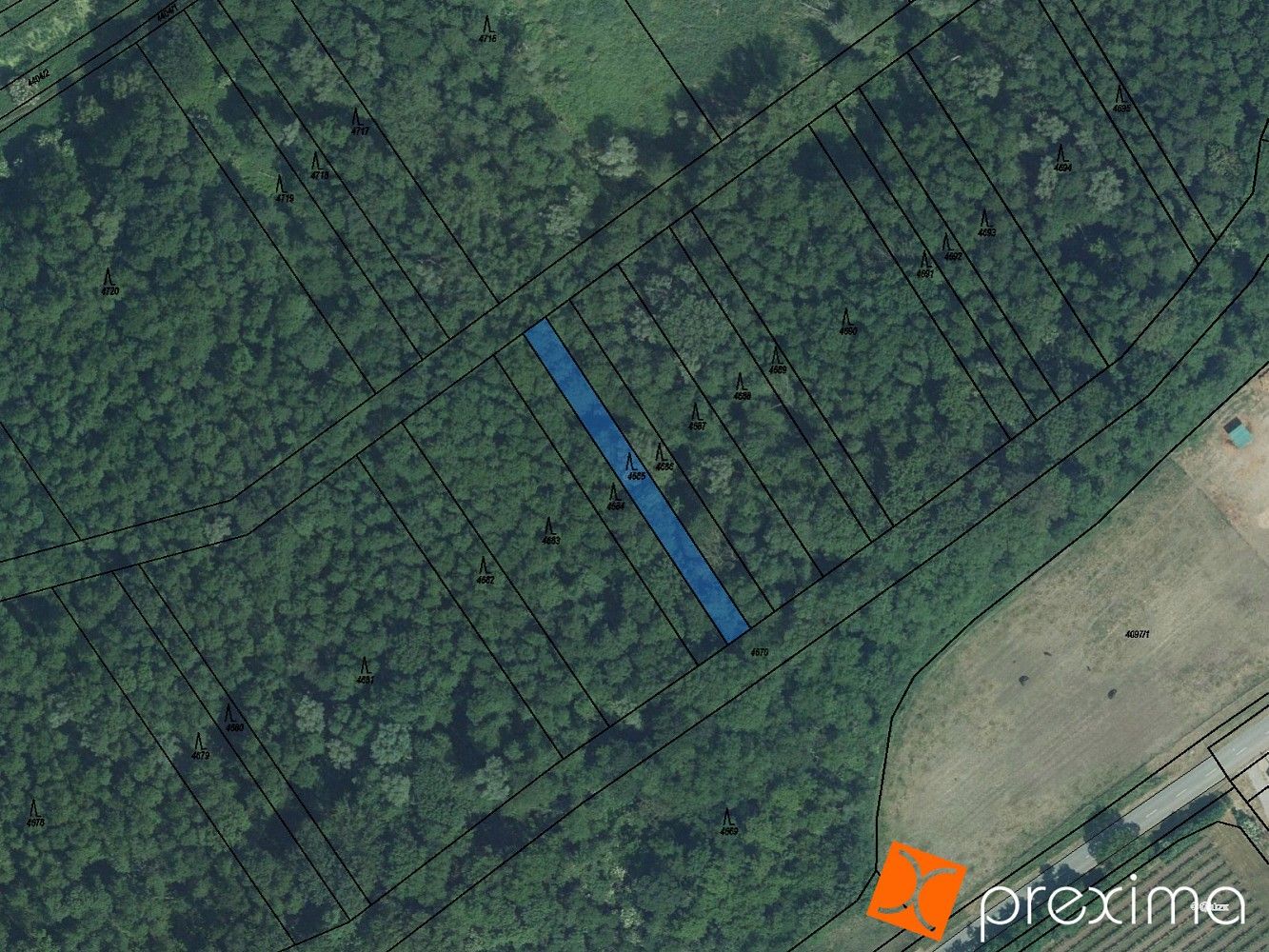 Prodej les - Brod nad Dyjí, okres Břeclav, Jihomoravský kraj - 1