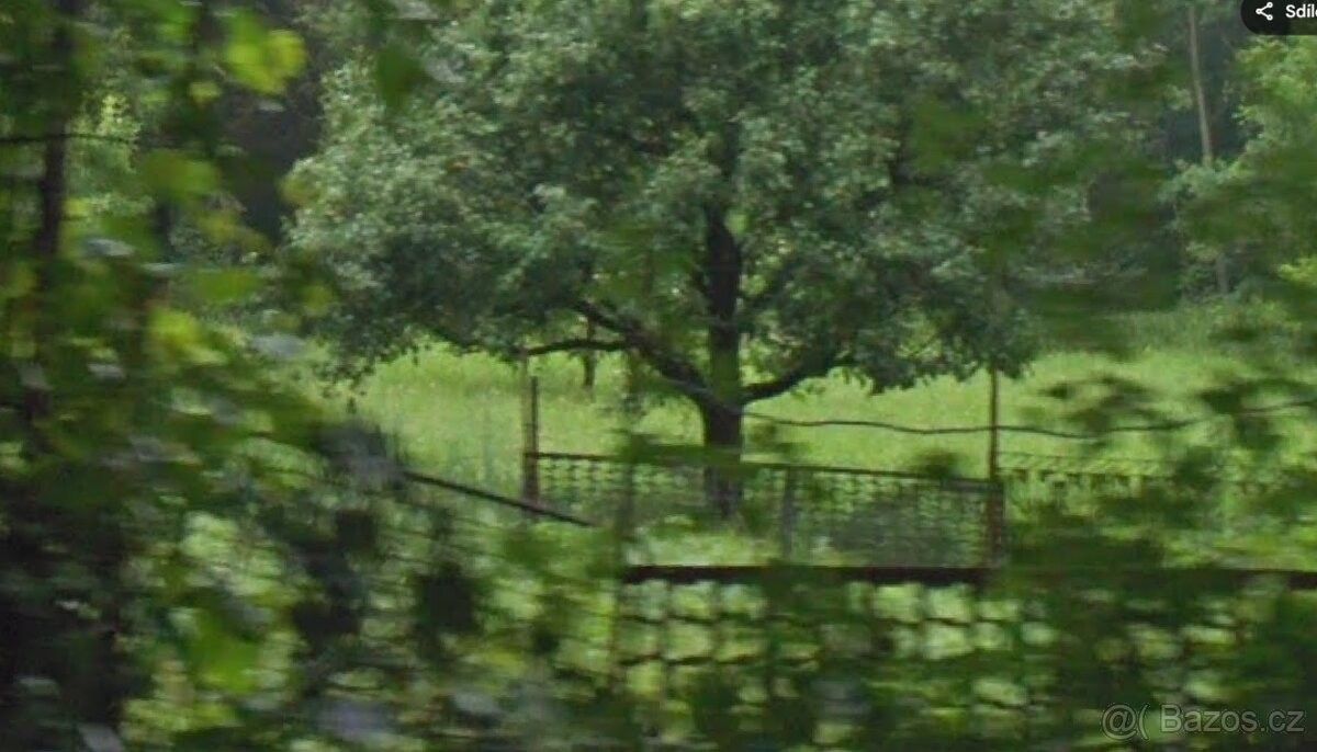 Zahrady, Brandýs nad Orlicí, 561 12