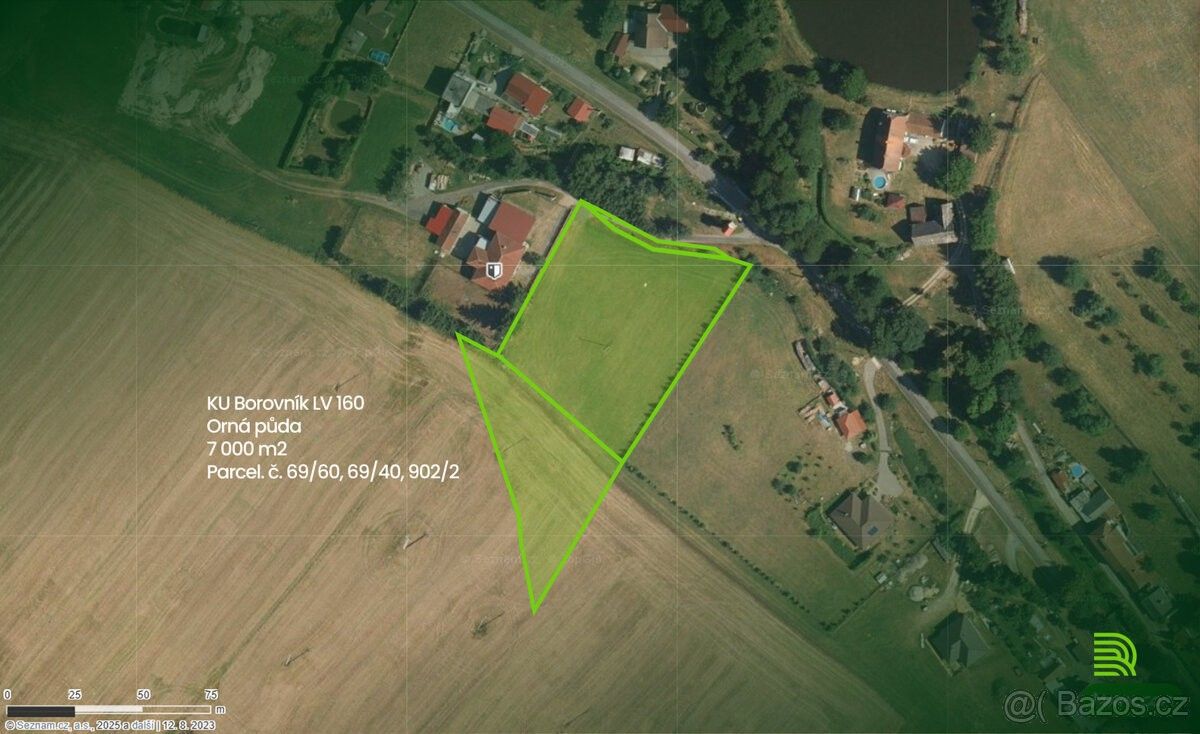 Pozemky pro bydlení, Borovník, 594 51