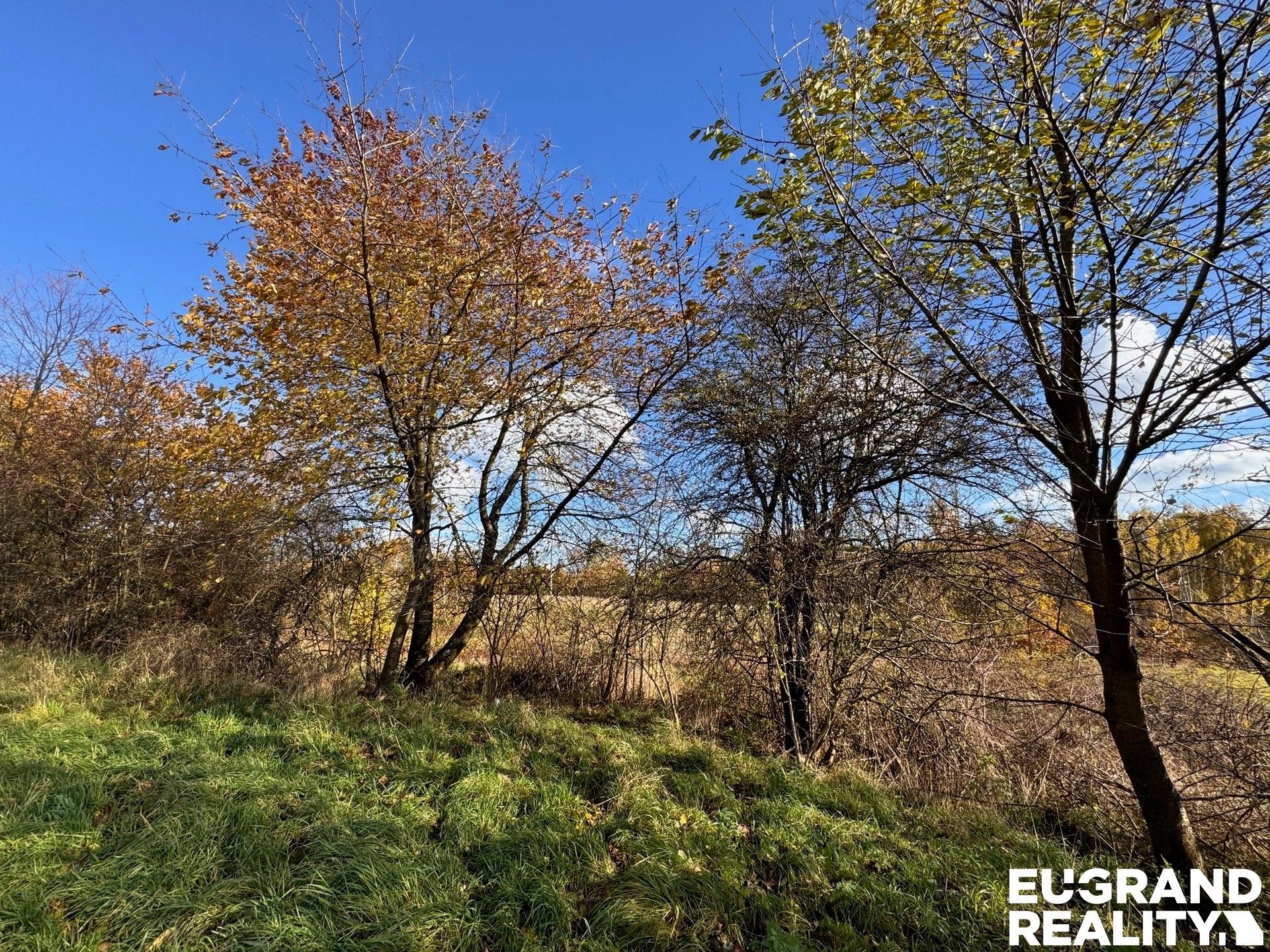 Pozemek pro bydlení · 20 638 m² · Rumburk - 4