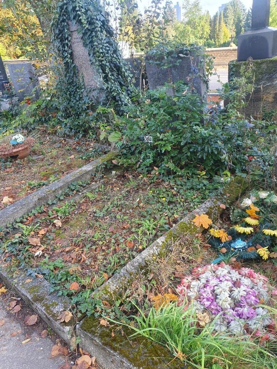 Prodej ostatní - Brno, 625 00