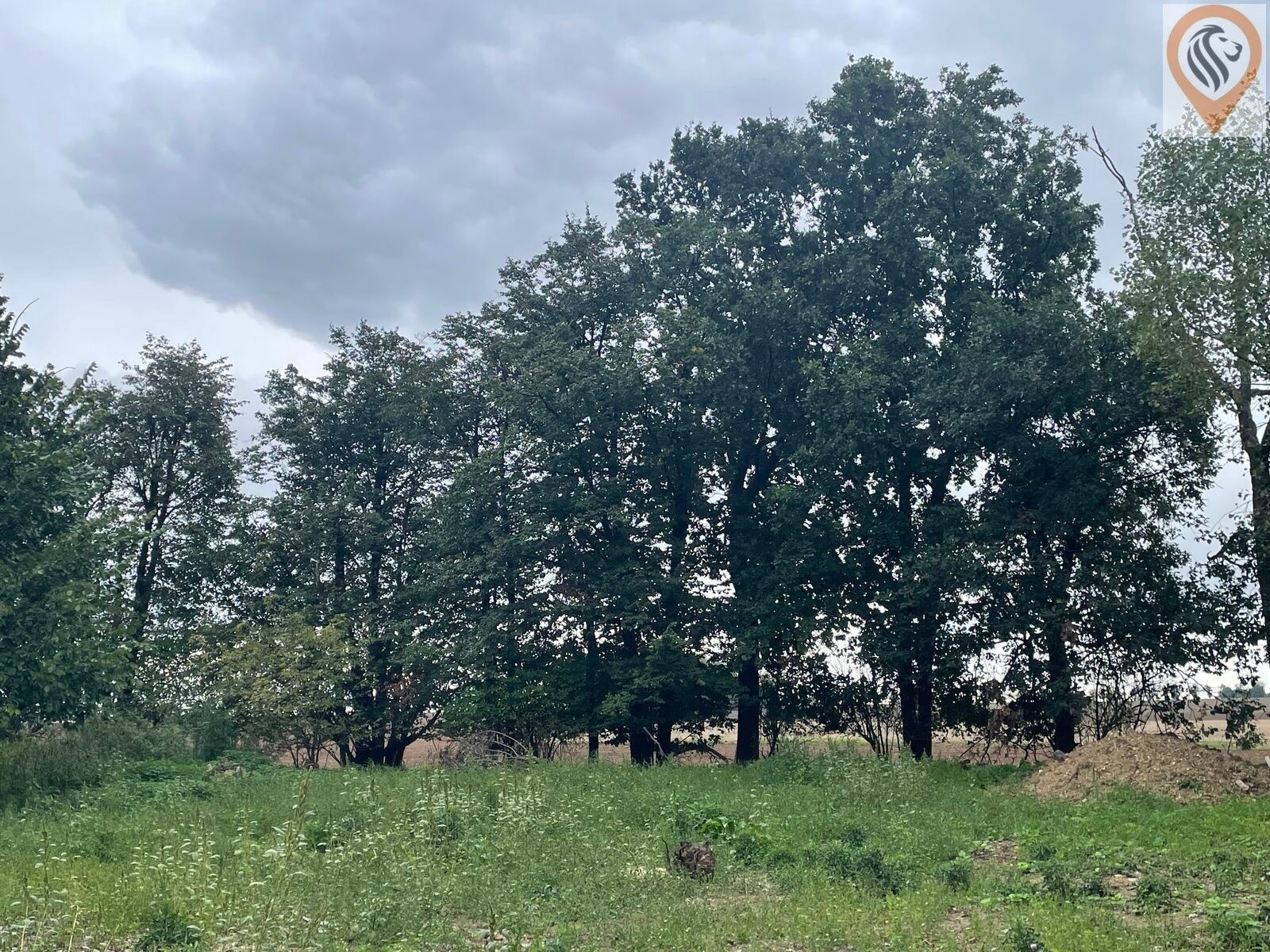 Zemědělský pozemek · 51 051 m² · Úhonice - 4