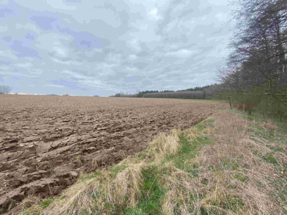 Pronájem pozemek pro bydlení - Žinkovy, 335 54