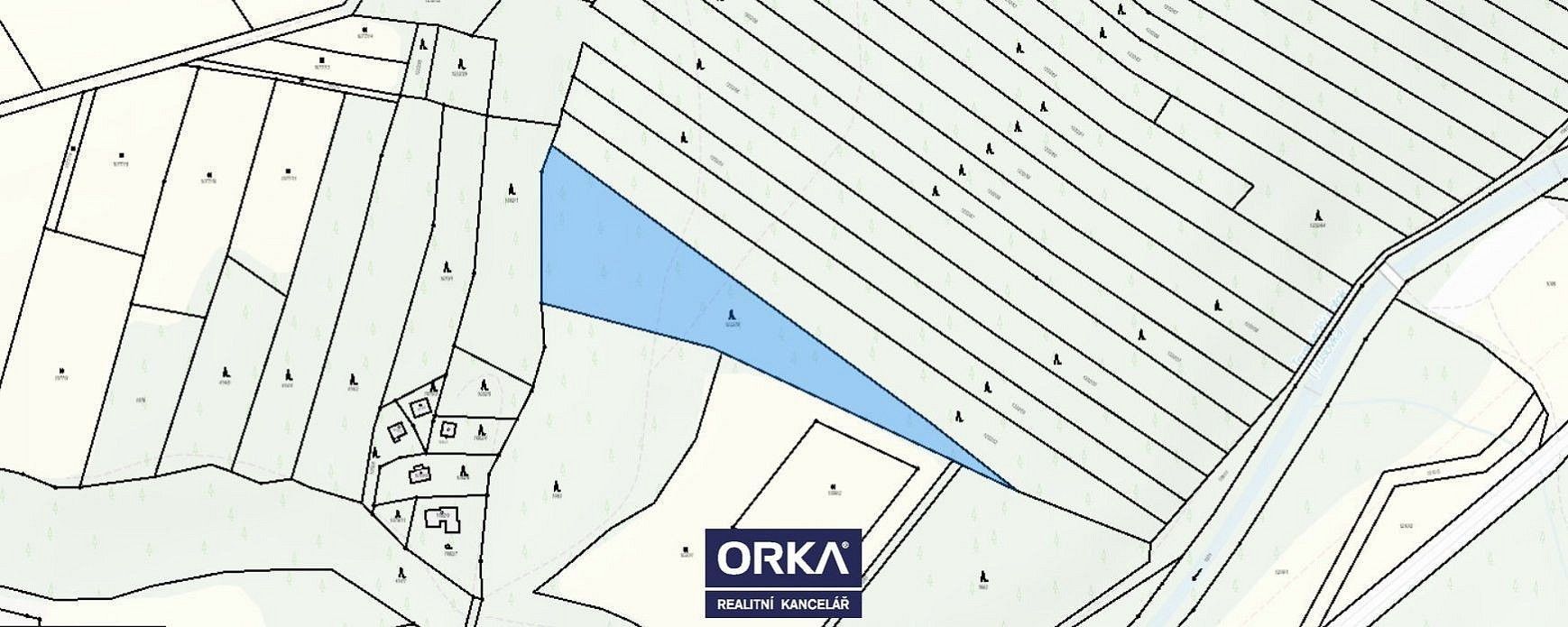 Les · Bělkovice-Lašťany, okres Olomouc, Olomoucký kraj - 2