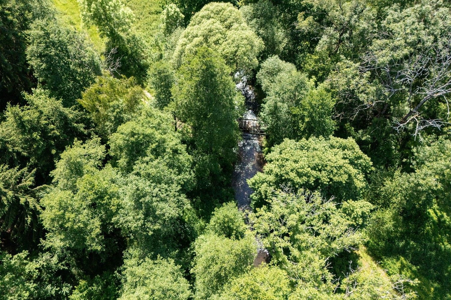 Pozemek pro bydlení · Choustník - Předboř, okres Tábor, Jihočeský kraj - 4