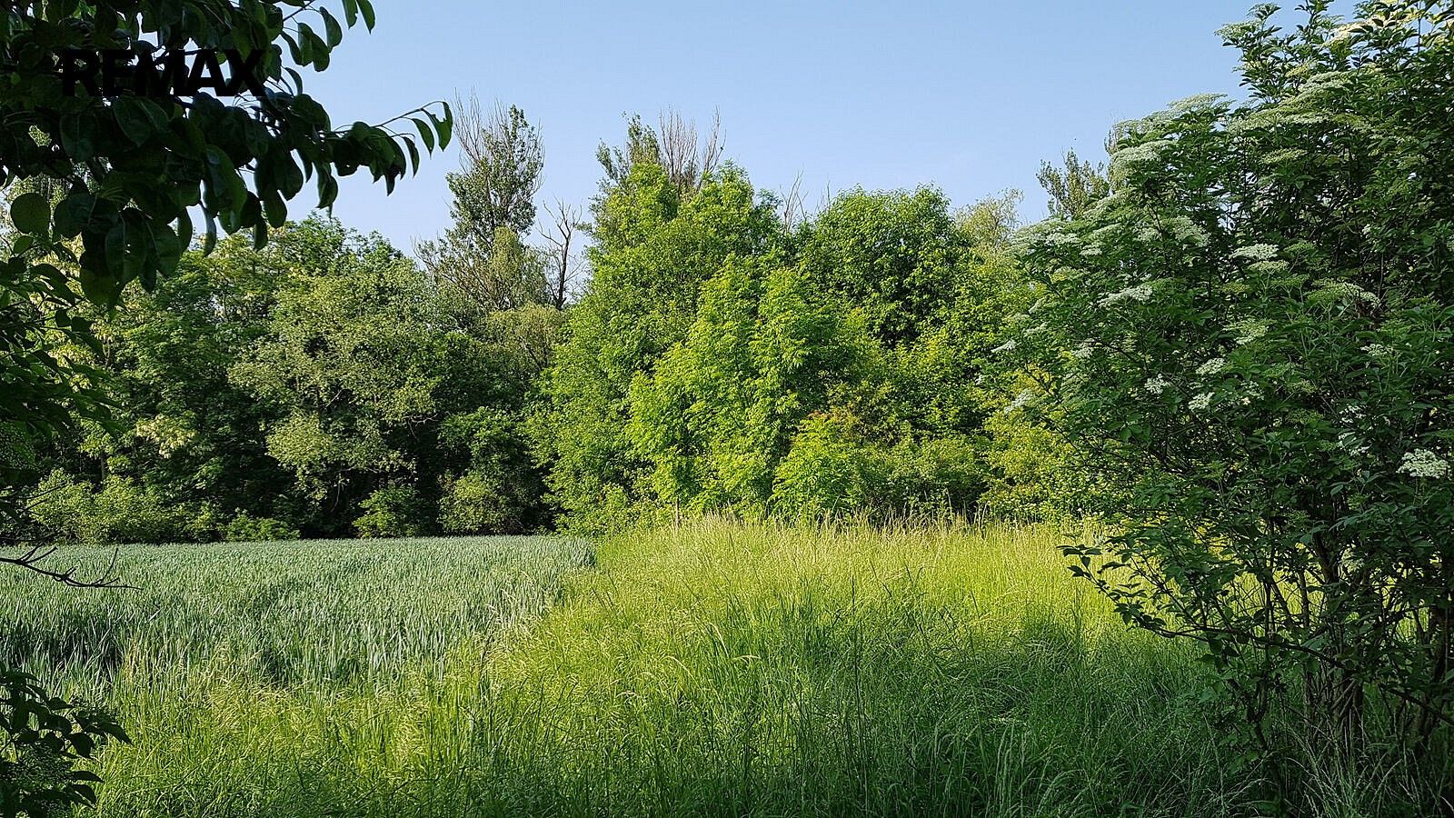 Pozemek · Hospozín, okres Kladno, Středočeský kraj - 4