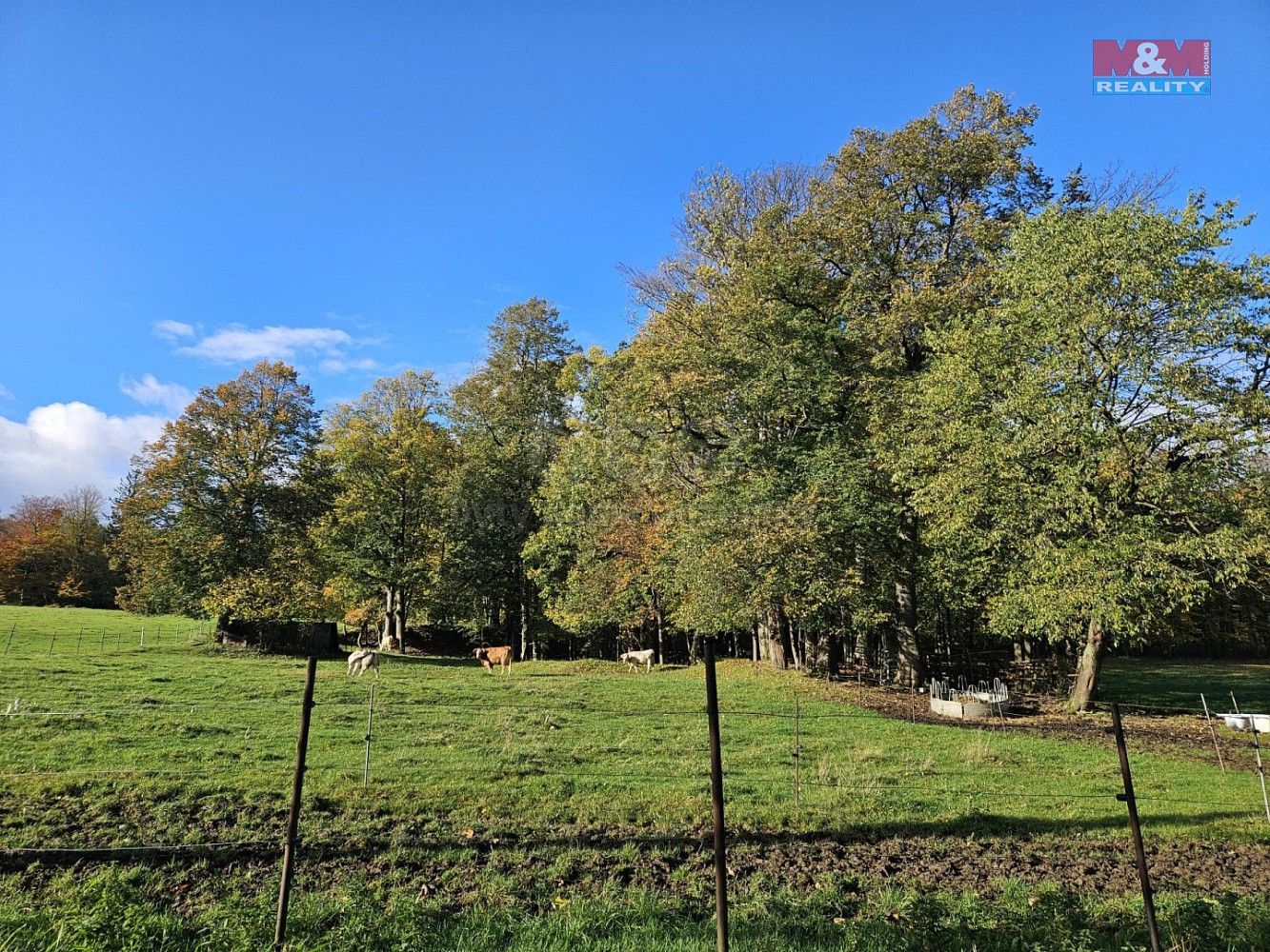 Ostatní, Zlaté Hory, okres Jeseník, Olomoucký kraj - 1