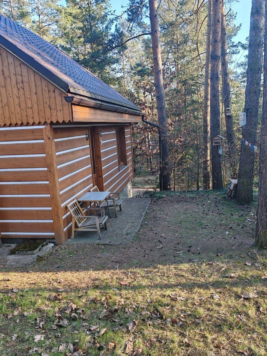 Chata · Doksy - Doksy u Máchova jezera, Liberecký kraj - 3