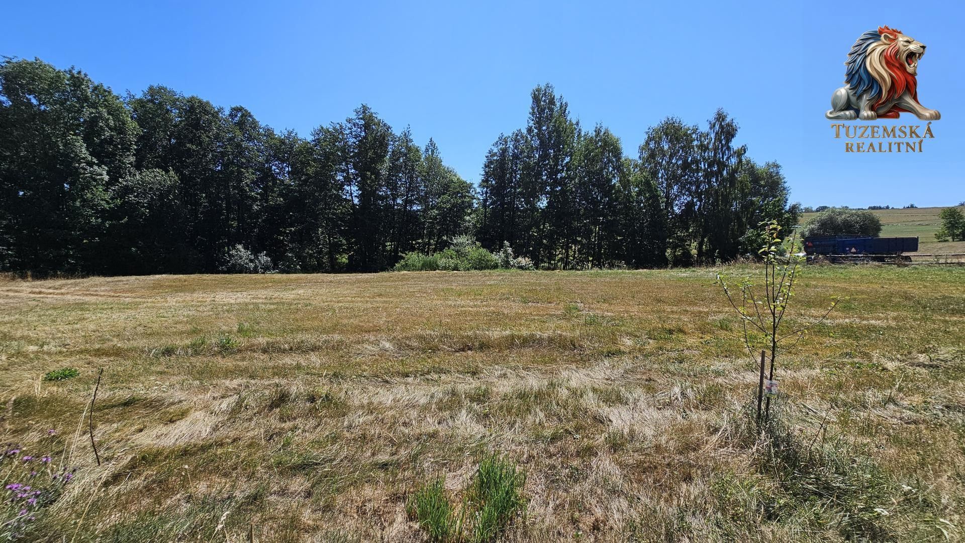 Pozemek pro bydlení, 955 m²