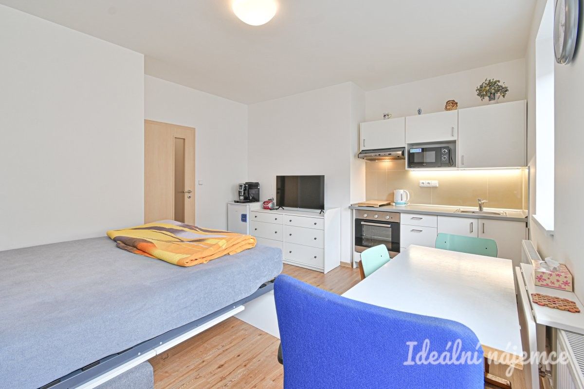1+kk, Hostinského, Brno, 25 m² - 2