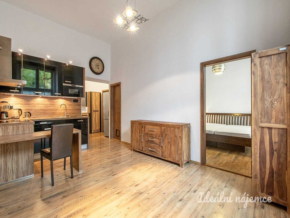 Pronájem byt 2+kk - Přemyslovská, Praha, 46 m²