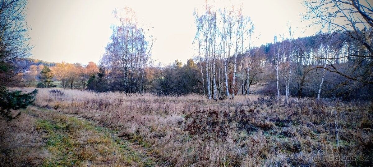 Prodej pozemek pro bydlení - Bělčice, 387 43