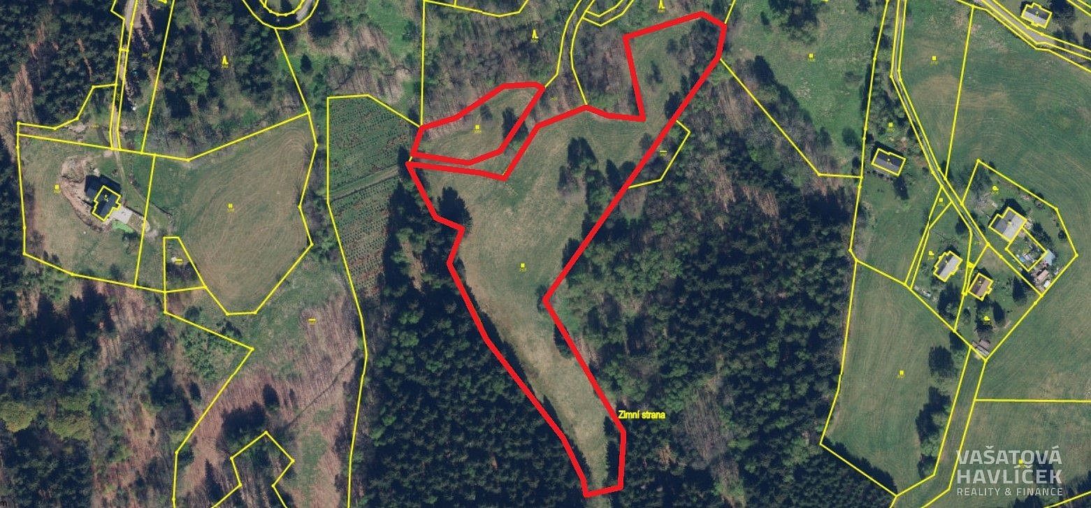 Louky, Bartošovice v Orlických horách, okres Rychnov nad Kněžnou, Královéhradecký kraj - 2