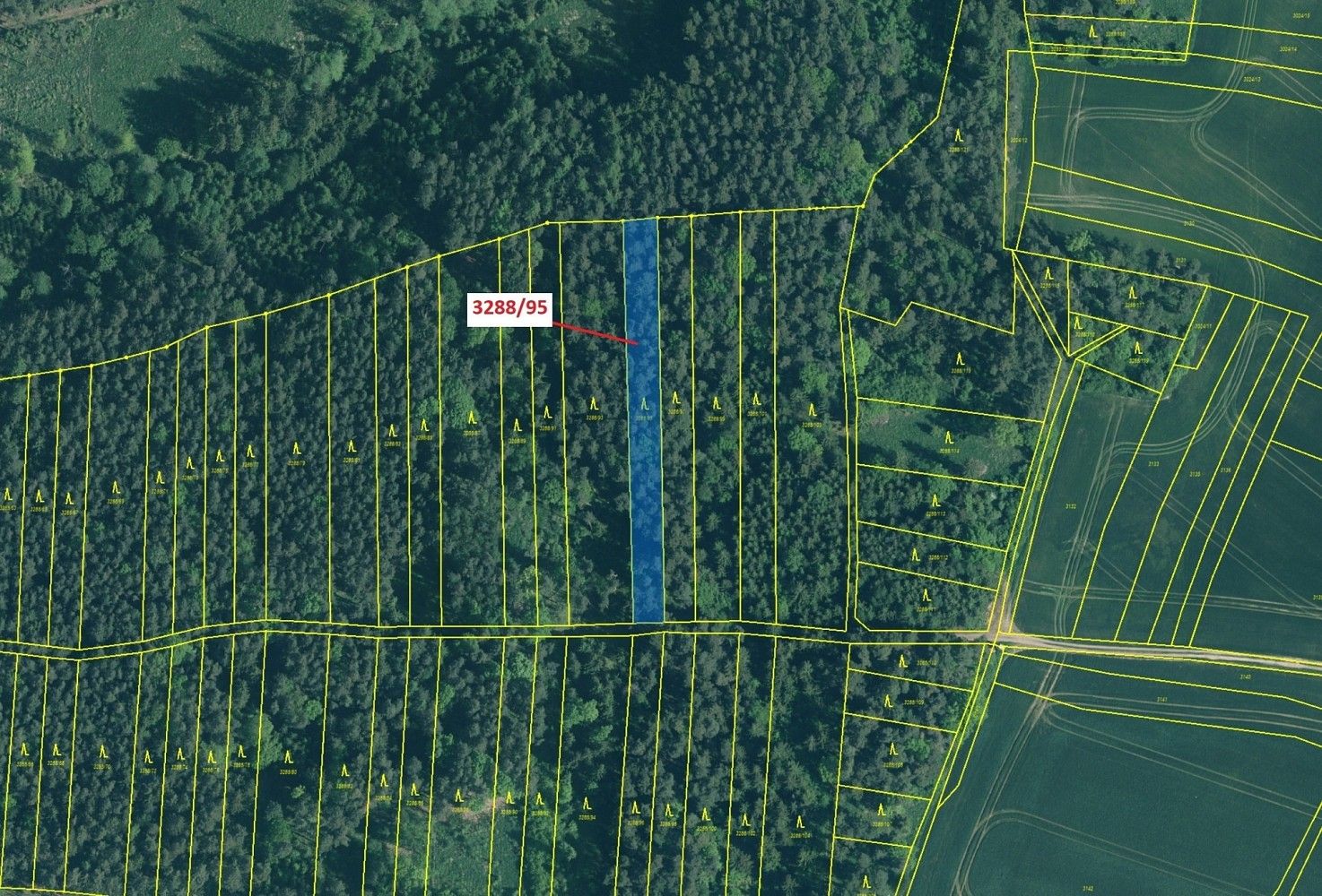 Prodej les - Hosty, okres České Budějovice, Jihočeský kraj - 2
